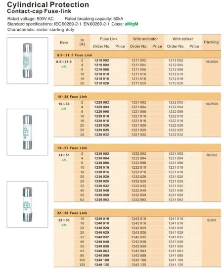 House Service Fuse Cut out Protection